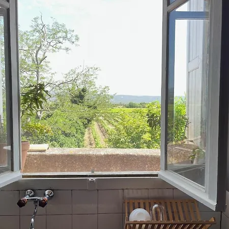 Private Overlooking Vineyards * Pépieux
