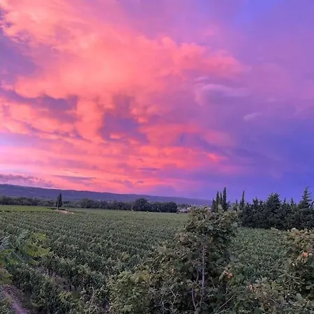 Private Overlooking Vineyards *